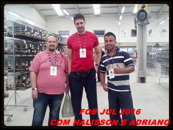 Imagem