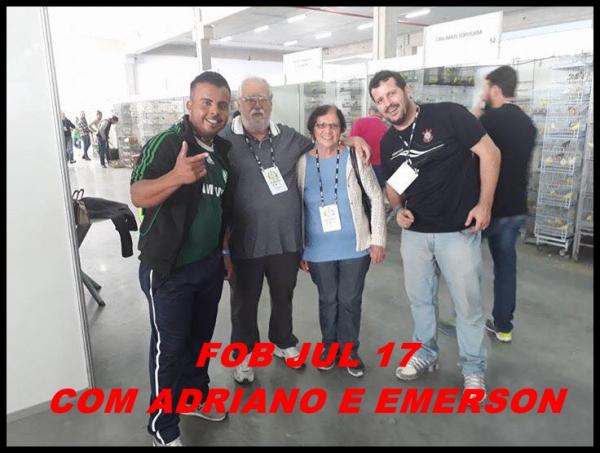 Imagem